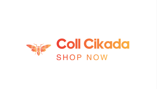 My Store